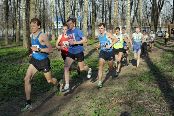 Чемпионат Костромской области по кроссу-2014